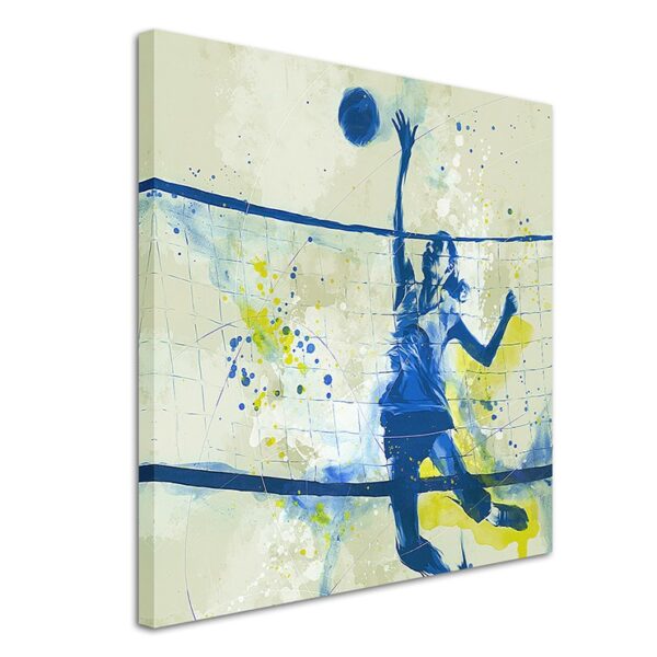 full Volleyball 60x60cm 3d 1280x1280