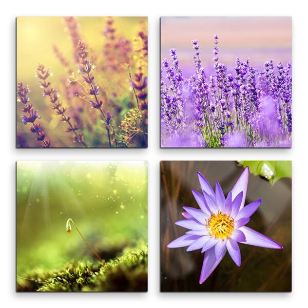 full Shutterstock055 4x30x30cm FRONT 1280x1280